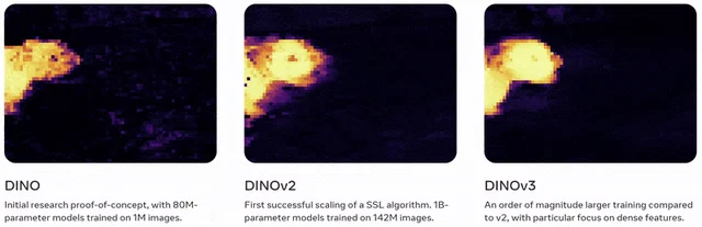 Animación que compara mapas de características de distintas generaciones de DINO.