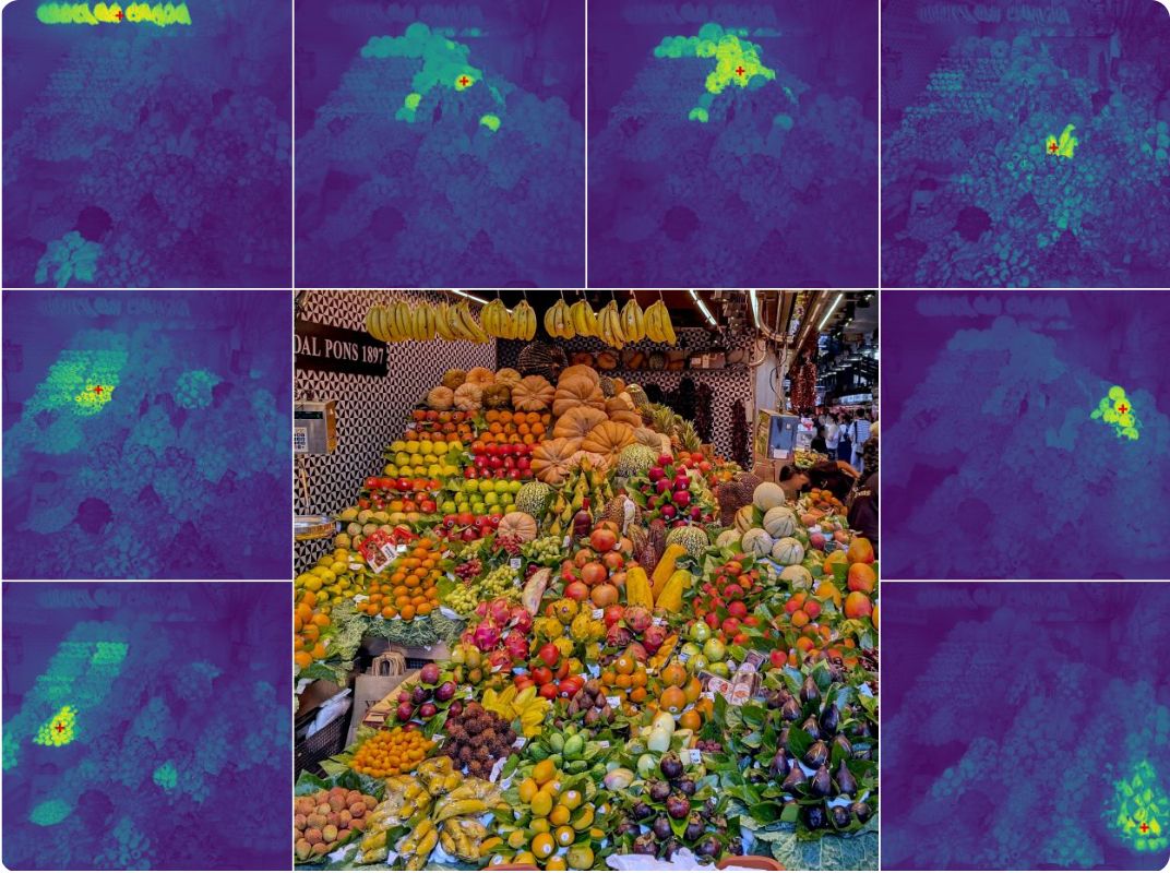 Visualización de características densas extraídas por DINO.