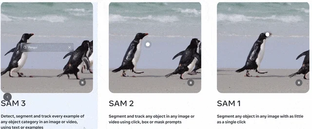 Animación que compara el resultado de SAM 1, SAM 2 y SAM 3.